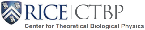 Laboratory for Nanophotonics