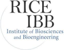 Institute for Biophysical Dynamics