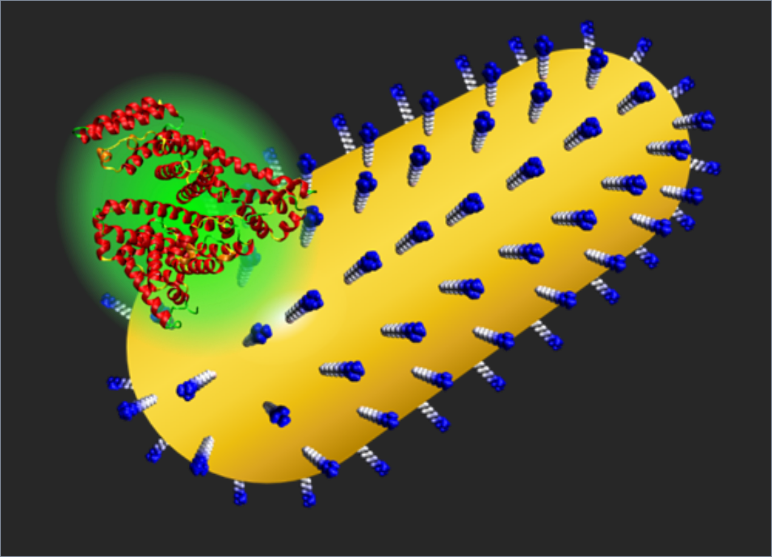 Nano-bio Interface