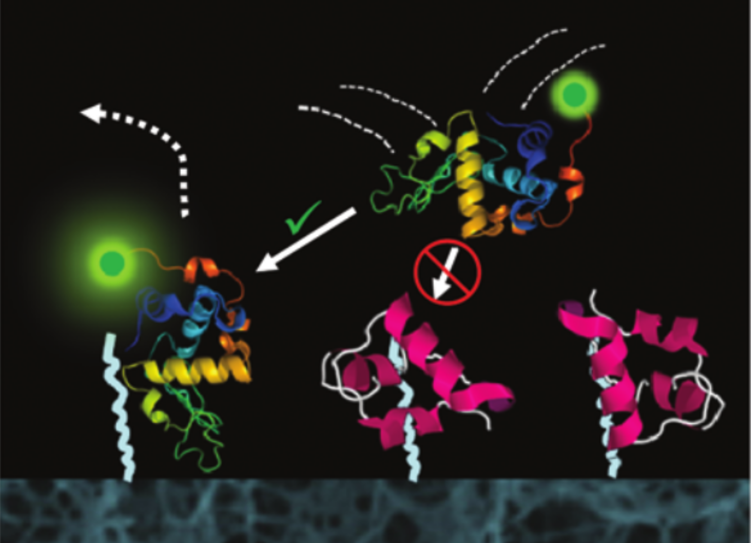 Single Molecule Spectroscopy